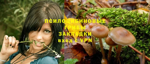 MDMA Premium VHQ Михайловка