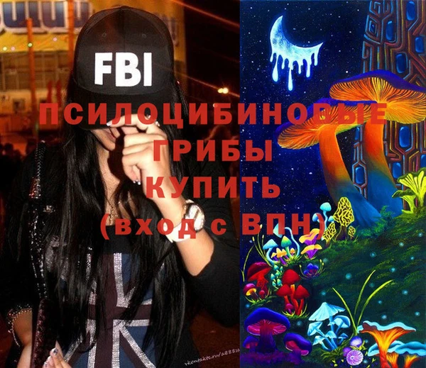 соль ск Михайлов
