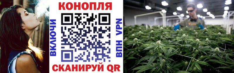 Каннабис White Widow  закладка  Полярный 